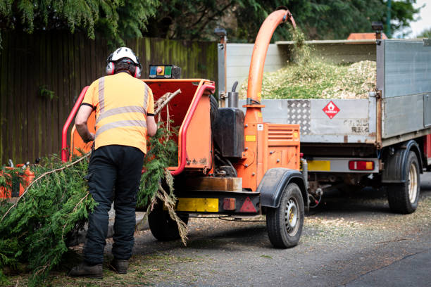 How Our Tree Care Process Works  in  Duboistown, PA